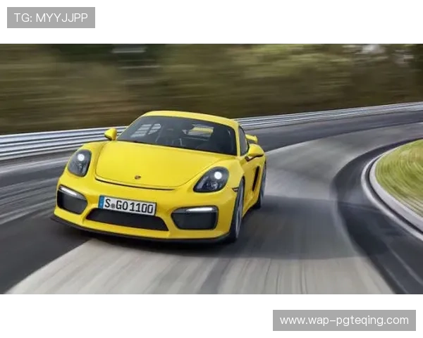 保时捷pg娱乐官网下载安全稳定，轻松畅玩多款高品质赛车游戏的最佳选择